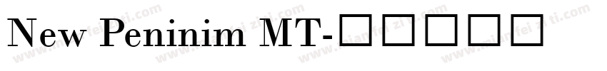 New Peninim MT字体转换